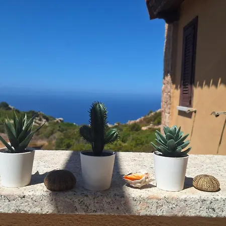 Apartment Casa Stella Di Gallura Con Piscina Costa Paradiso